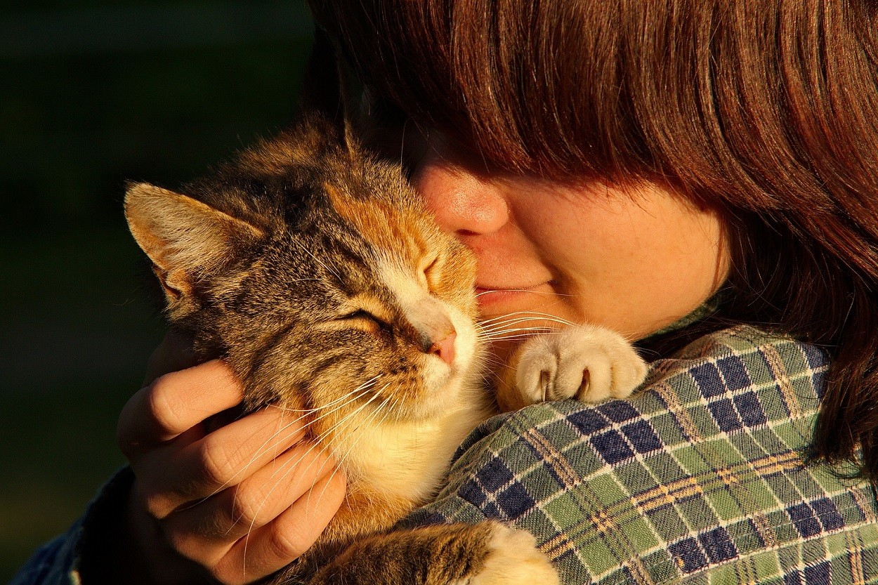 Pet Therapy col gatto