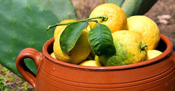 Limoni in vaso