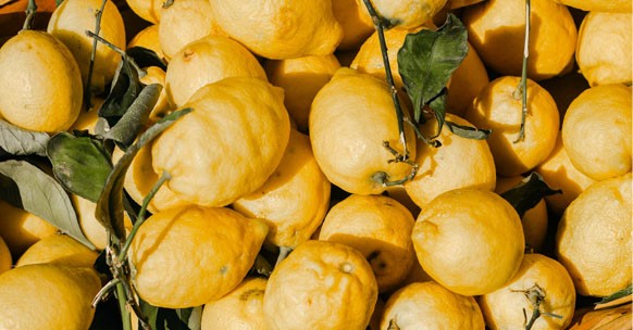 piante aromatiche limone