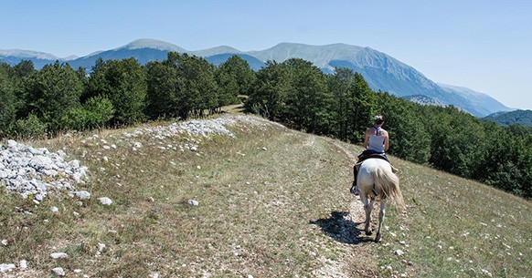 Cavallo, Parco nazionale d'Abruzzo