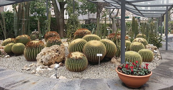 Orto botanico di Catania