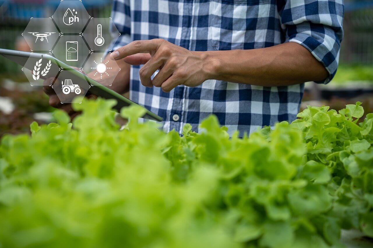 Agricoltura Sostenibile Cos E Su Quali Principi Si Fonda Greenstyle