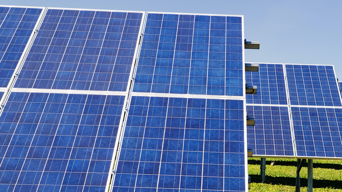 Pannelli fotovoltaici, agrivoltaico