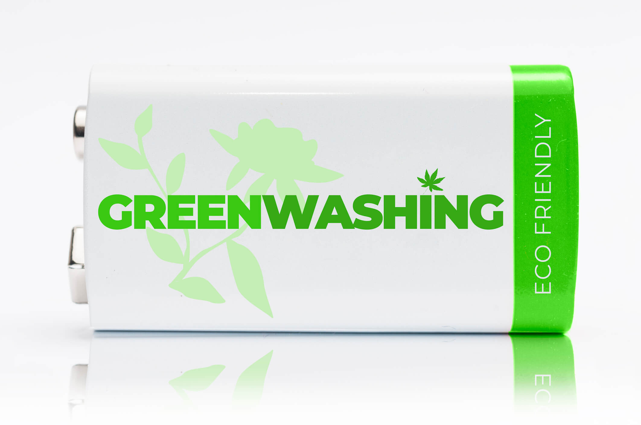 prodotti greenwashing
