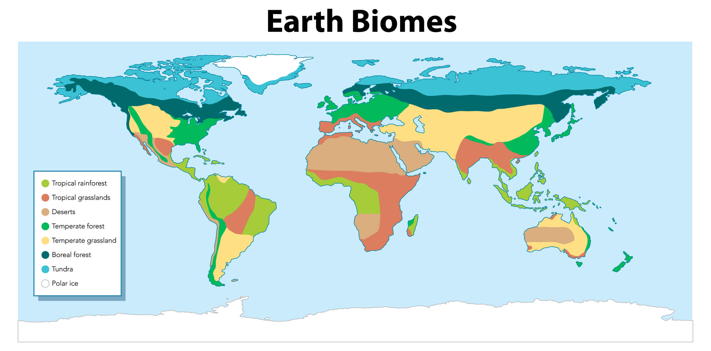 biomi terrestri