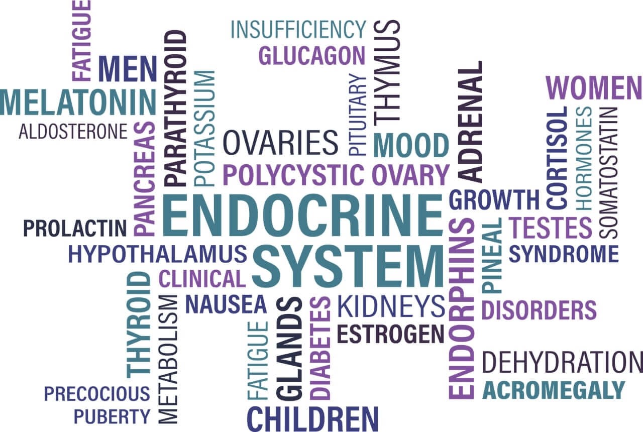Endocrinologo