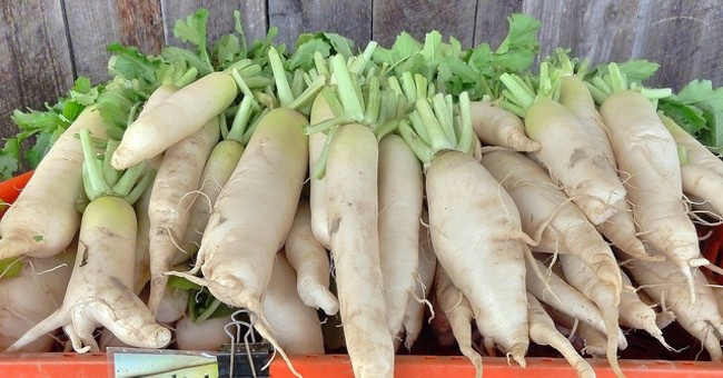 Daikon