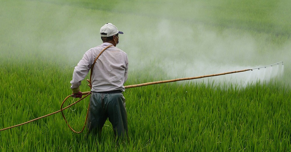 Pesticidi piatto in frutta e verdura