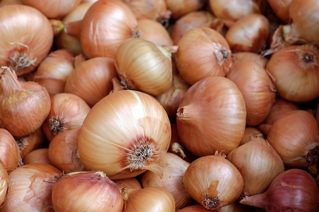 Colorare i vestiti in modo naturale con la buccia di cipolla