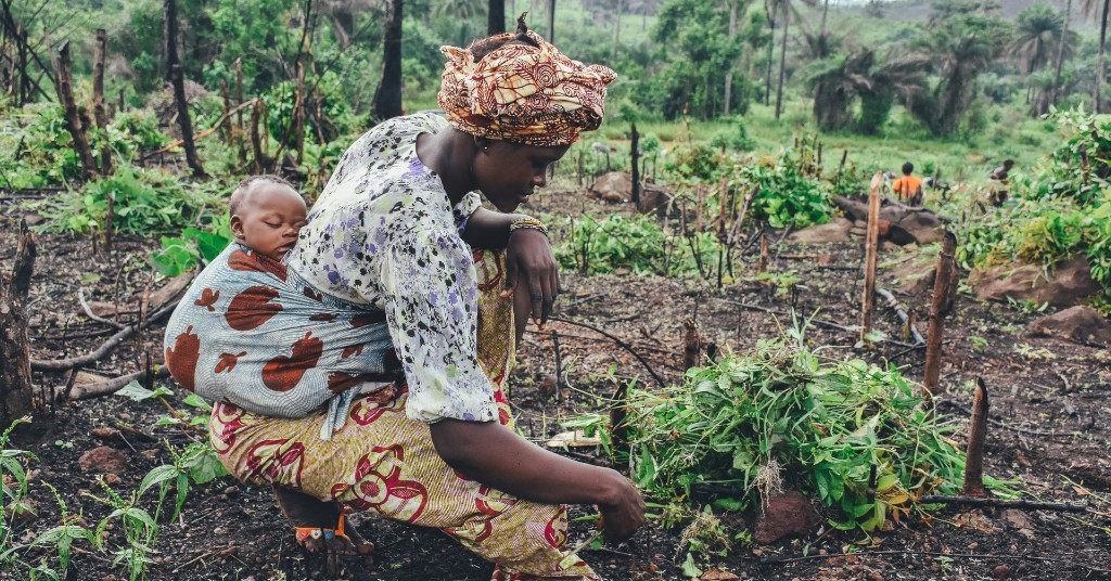 Raccolta di verdure in Africa