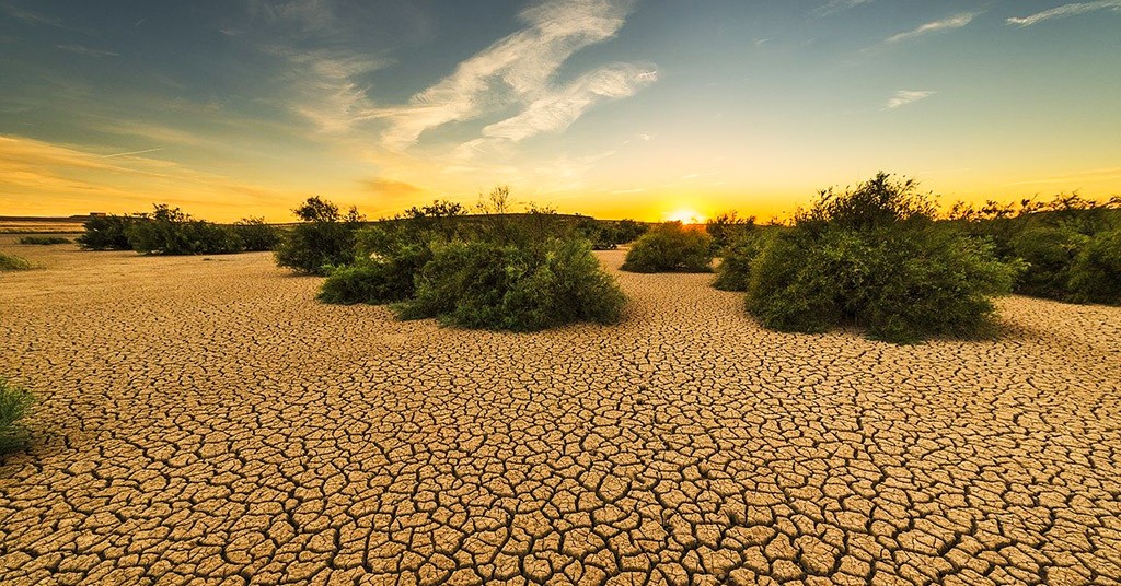 Cambiamenti climatici, siccità - World Economic Forum