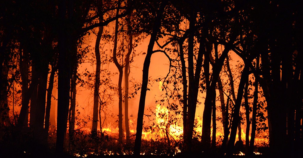 Clima, Cambiamenti climatici, incendi