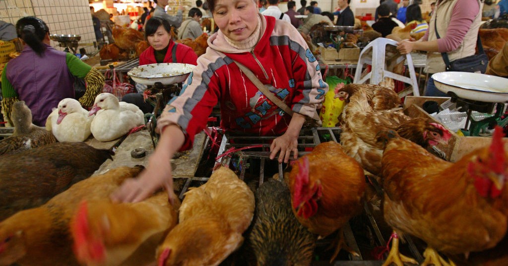 Wet market, animali, Covid