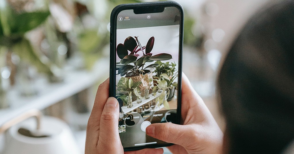 Fotografare l'orto urbano