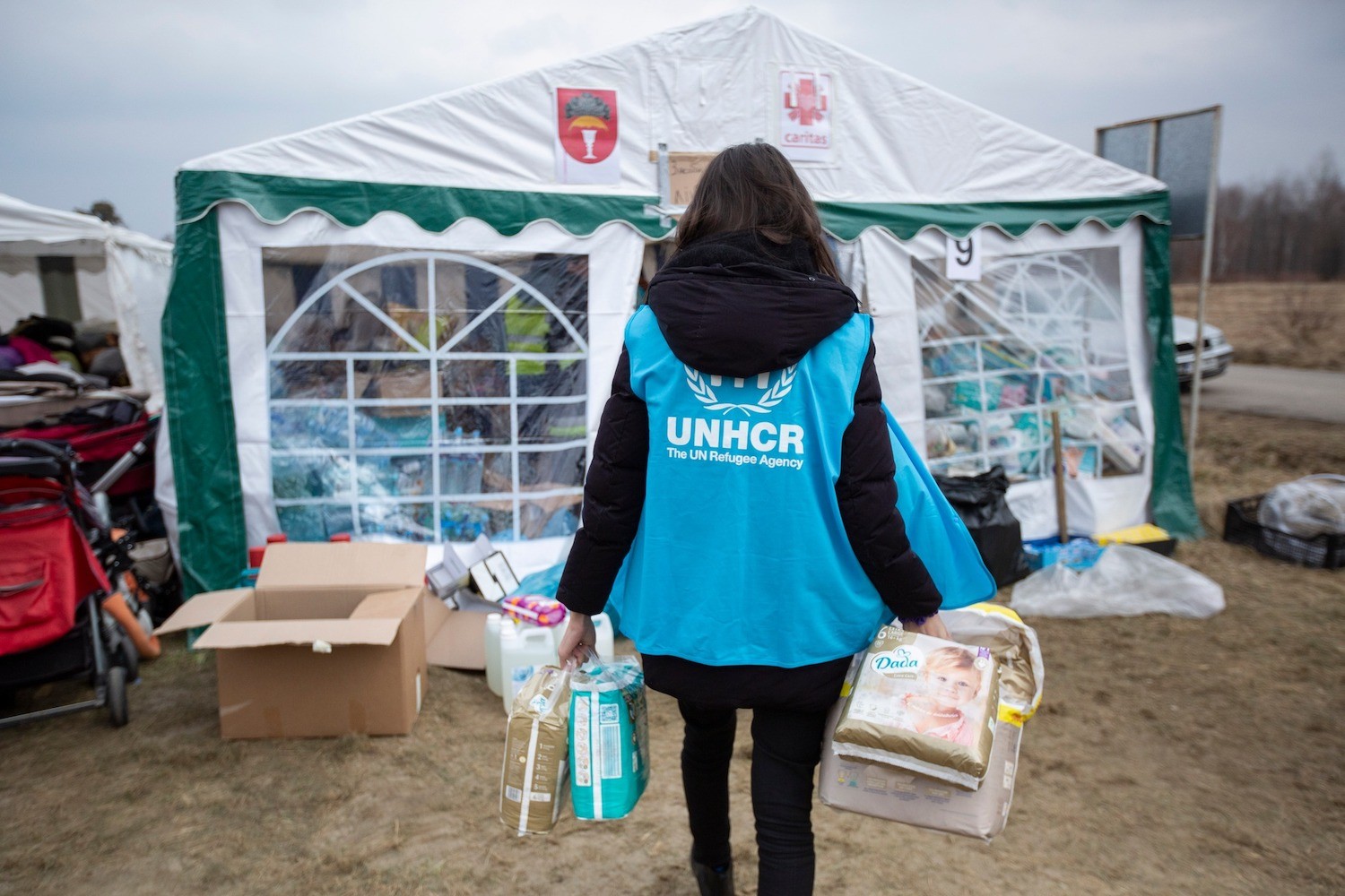 appello ucraina UNHCR