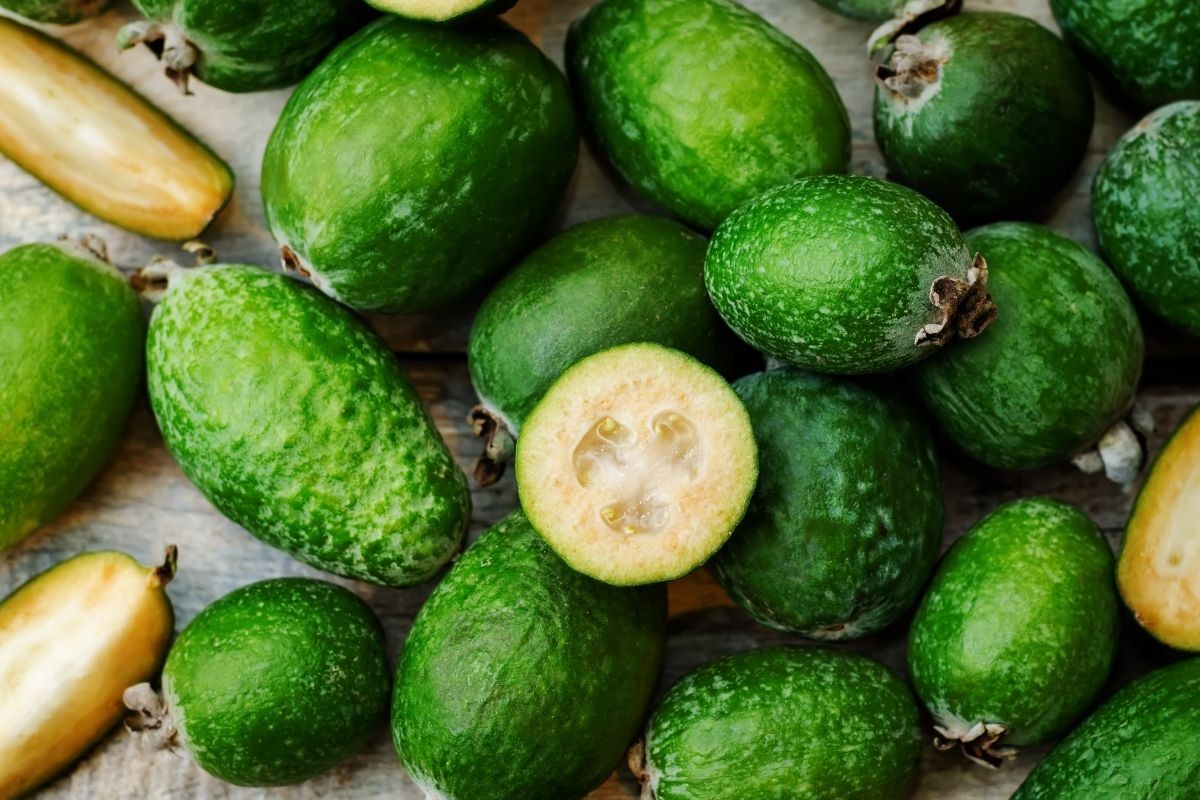 Feijoa