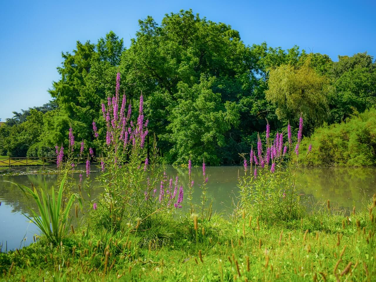 Parco delle Groane