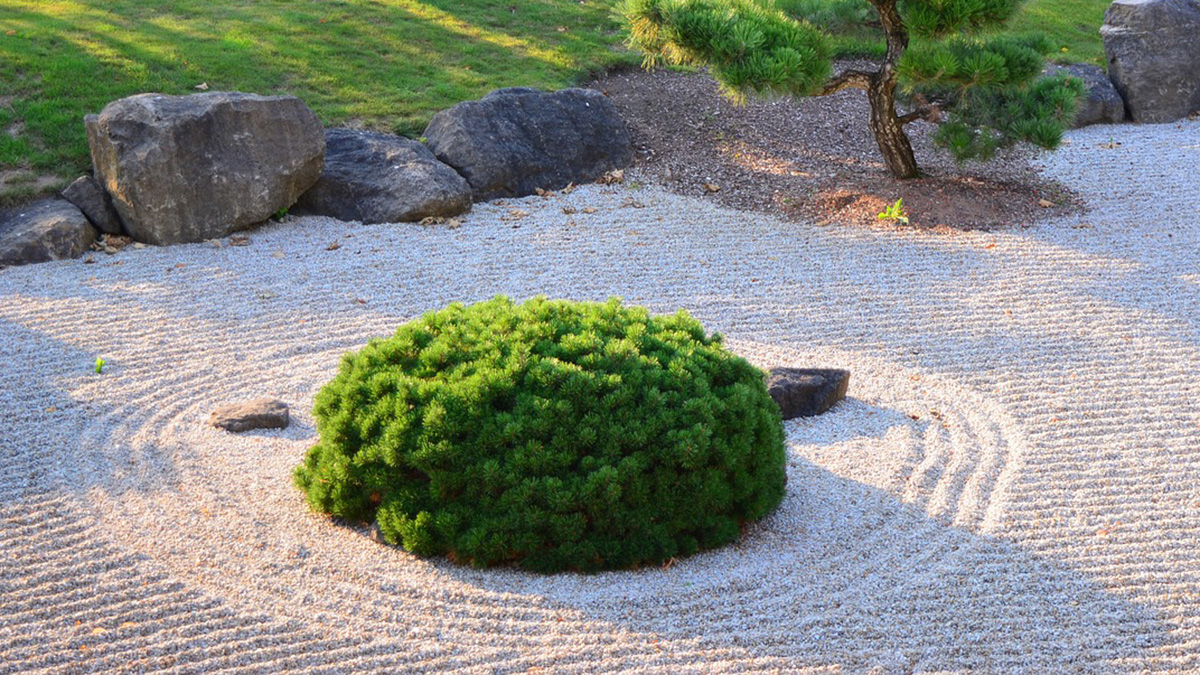 Giardini senza erba