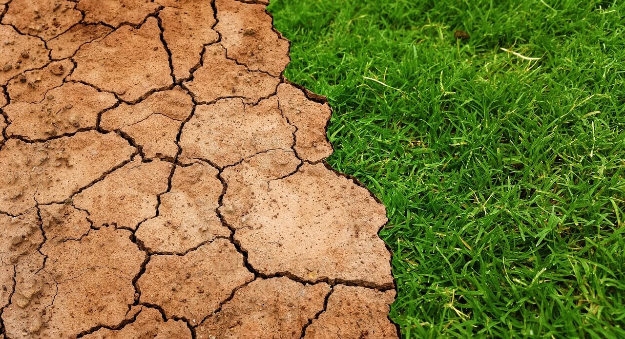 desertificazione nel mondo