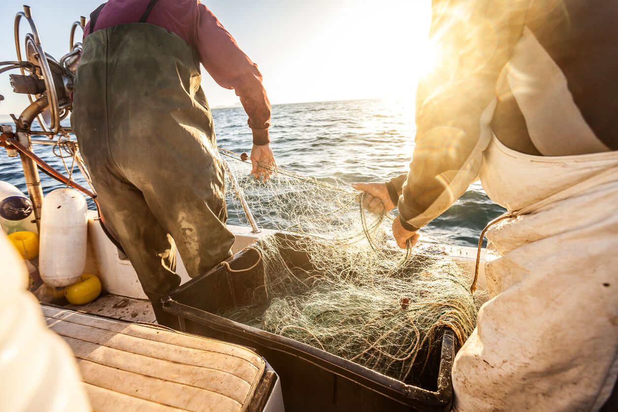 pesca sostenibile