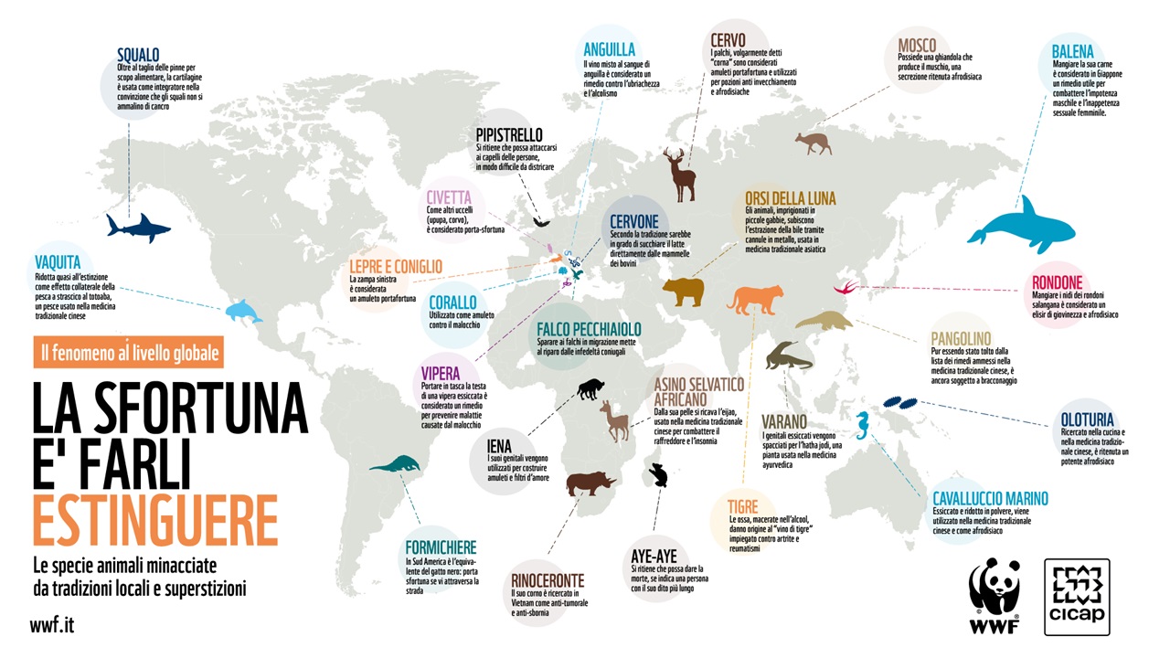 mappa specie rischio